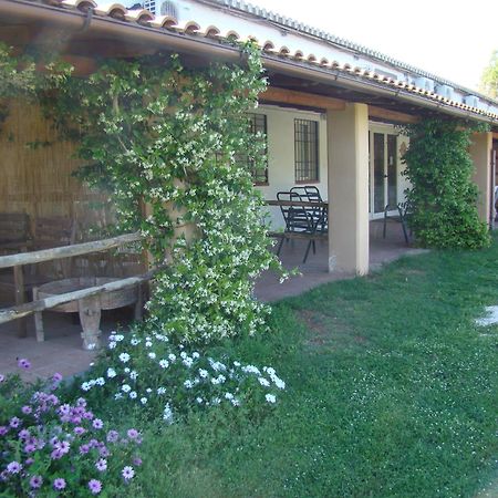 Borgo S.Maria Di Vulci Pension Montalto di Castro Buitenkant foto