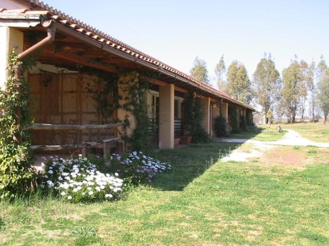 Borgo S.Maria Di Vulci Pension Montalto di Castro Buitenkant foto